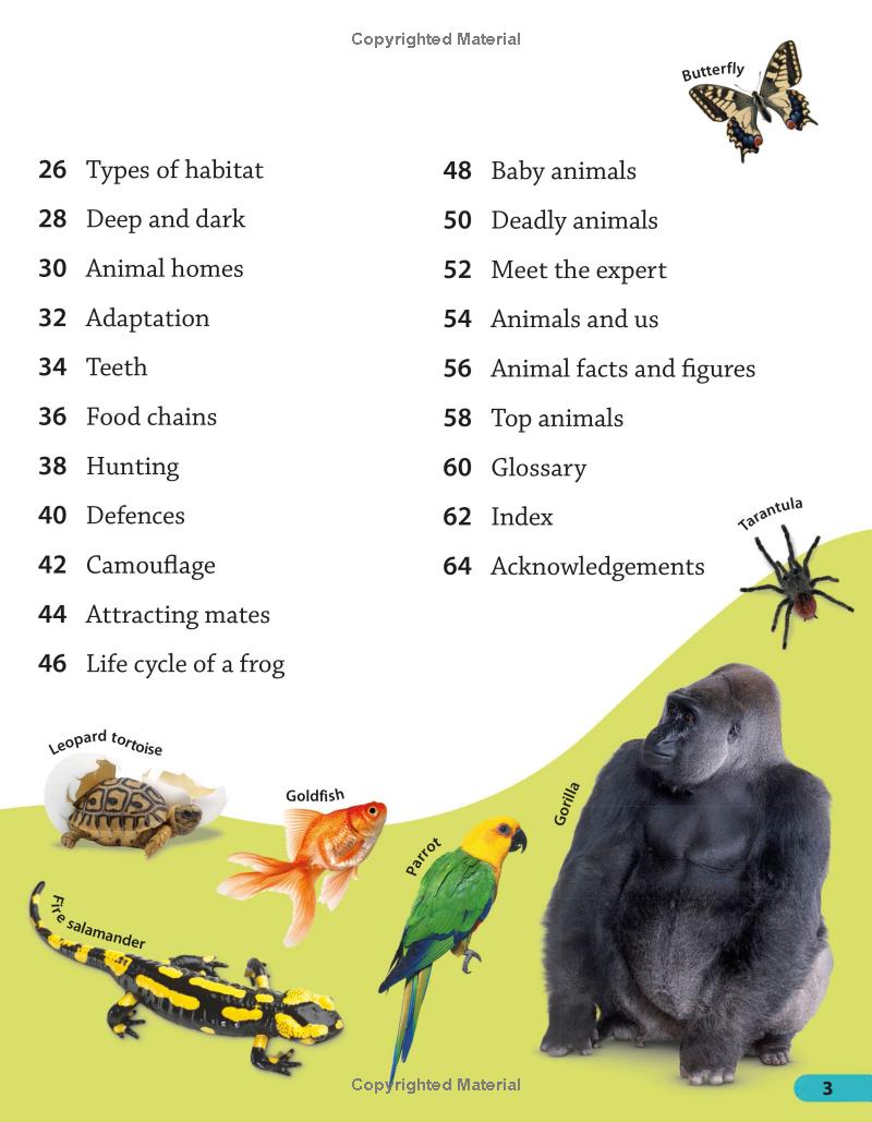 DKfindout! Animals by DK DKfindout! Animals by DK